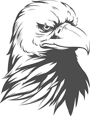 EPS 해외이미지 클립아트 모양 동물 디자인 실루엣 얼굴 선 스포츠 일러스트 조류 고등학교 그래픽 머리 검은색 자유 용기 투명 만화 스케치 문신 심볼 깃털 그림 부리 심플 윤곽 독수리 손그림 대머리 고립 마스코트 웅장함 힘찬 해외일러스트 헤어스타일 그릇 컬러 컨셉 학교 촬영기법 미술 신체부위 파일형식 벡터 이미지허브