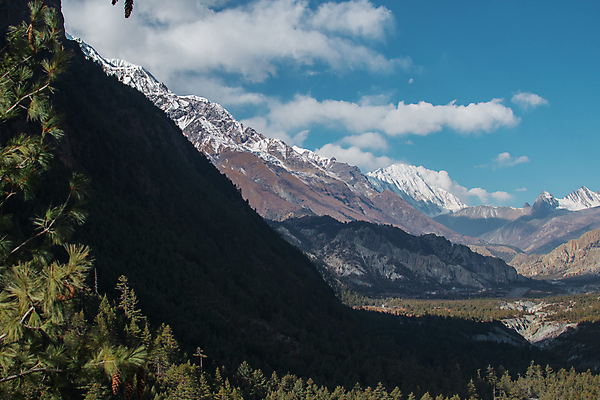 포토 JPG 해외이미지 나무 구름 라이프스타일 공원 행복 아시아 여행 백그라운드 자연 하늘 산 풍경 사람없음 야외 파란색 햇빛 태양 환경 골짜기 계곡 얼음 트래킹 하이킹 추위 자유 흰색 네팔 무료 절정 하이커 히말라야 해외포토 자연요소 식물 공공시설 감정 나라 컬러 컨셉 레저 생활 생태계 파일형식 산맥 이미지허브