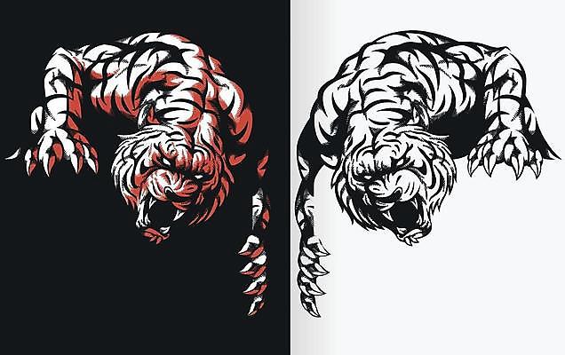 EPS 해외이미지 동물 디자인 실루엣 선 스포츠 일러스트 흑백 고등학교 그래픽 검은색 분노 호랑이 닫기 공격 스케치 문신 심볼 그림 사냥 윤곽 손그림 판화 부족 고립 공격적 마스코트 엘리먼트 해외일러스트 감정 컬러 컨셉 포유류 학교 모션 촬영기법 미술 파일형식 벡터 이미지허브