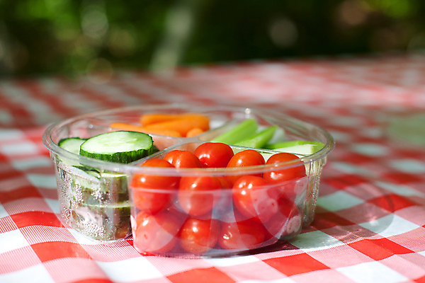 포토 JPG 해외이미지 계절 공원 음식 여행 백그라운드 캐나다 토마토 채소 자연 탁자 휴가 휴식 오이 쟁반 건강 사람없음 야외 초록색 여름 소풍 침묵 당근 캠핑 시골 직물 막대기 땅 자르기 캠핑장 체크무늬 지역 공급 해외포토 공공시설 컬러 가구 컨셉 북아메리카 무늬 모션 레저 뿌리채소 야외활동 소리 생태계 파일형식 이미지허브