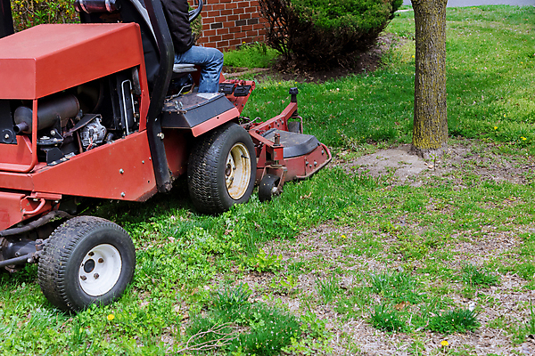 포토 JPG 해외이미지 계절 밭 모션 자연 노동자 풍경 잔디 사람없음 초록색 정원 기계 봄 장비 공구 신선 업무 바퀴 승차 자르기 서비스 원예 조경 트랙터 엔진 유지 다듬기 돌봄 원예사 커터 해외포토 식물 직업 컬러 농업 취미 도구 작업 농기계 생태계 특수차량 파일형식 이미지허브
