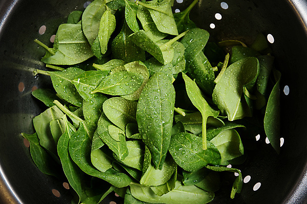 포토 JPG 해외이미지 식물 라이프스타일 음식 백그라운드 잎 농업 다이어트 채소 재료 자연 건강 요리 사람없음 초록색 물 쌓기 금속 정원 저녁식사 샐러드 아기 신선 선택 아침식사 상품 먹기 허브 오브젝트 유기농 채식 날것 시금치 내추럴 고립 채식주의자 핸드메이드 해외포토 자연요소 웰빙 산업 컬러 컨셉 모션 재질 사람 생활 식사 생태계 파일형식 이미지허브