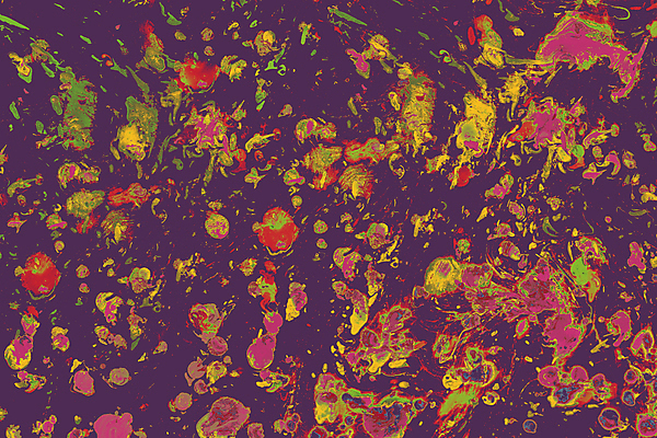 포토 JPG 해외이미지 백그라운드 사람없음 컬러풀 페인트 질감 유화 해외포토 컬러 미술 파일형식 이미지허브