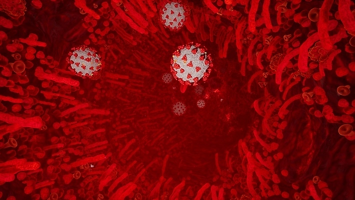 포토 JPG 해외이미지 세포 사람없음 빨간색 3D 적혈구 혈구 코로나바이러스 델타변이바이러스 오미크론 해외포토 컬러 바이러스 디지털합성 혈관 파일형식 이미지허브