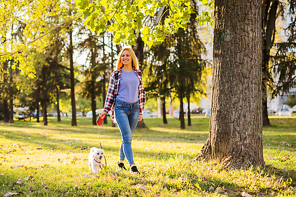 포토 JPG 해외이미지 동물 공원 여자 행복 장난 포유류 자연 놀이 휴식 안내 함께함 사랑 한명 성인 야외 반려동물 운동 햇빛 걷기 맑음 가축 우정 기쁨 흰색 잡기 개 강아지 작음 푸들 시티라이프 송곳니 돌봄 신앙심 해외포토 1 라이프스타일 공공시설 감정 컬러 컨셉 모션 날씨 건강 사람 친구 태양 치아 크기 생태계 파일형식 이미지허브