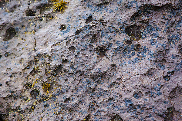 포토 JPG 해외이미지 지구 조각 패턴 자연 날씨 사람없음 야외 환경 성장 바위 구멍 떨어짐 생물학 지역 충격 내추럴 깨짐 생태학 화강암 해외포토 교육 컨셉 무늬 암석 돌_바위 생태계 파일형식 이미지허브