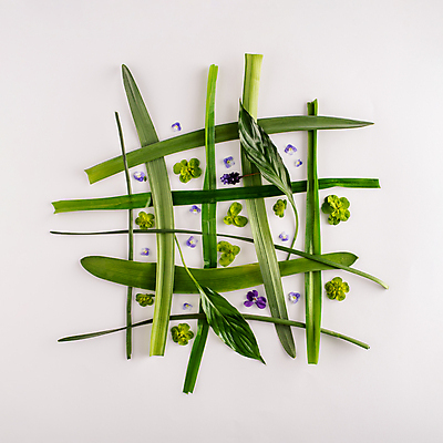 포토 JPG 해외이미지 식물 디자인 꽃 백그라운드 컨셉 잎 패턴 자연 추상 아이디어 프레임 미술 사람없음 초록색 컬러풀 유행 침묵 봄 흰색 나뭇가지 그물 플랫 정상 제비꽃 질감 레이아웃 정사각형 위치 내추럴 파스텔톤 힙스터 미니멀리스트 미니멀 해외포토 도형 나무 계절 패션 컬러 무늬 문화예술 소리 생태계 파일형식 이미지허브