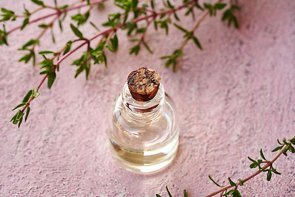 포토 JPG 해외이미지 유리병 실내 사람없음 뷰티 오일 아로마테라피 백리향 에센스 분홍색배경 아로마오일 해외포토 음식 분홍색 백그라운드 병_용기 내부 화장품 오일_화장품 테라피 파일형식 이미지허브