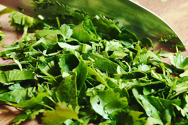 포토 JPG 해외이미지 식물 음식 백그라운드 잎 다이어트 채소 재료 자연 탁자 파슬리 건강 요리 사람없음 목재 초록색 주방 정원 신선 양념 칼 맛 자르기 다발 허브 유기농 날것 향 내추럴 채식주의자 개조 비건 해외포토 나무 웰빙 컬러 가구 컨셉 모션 생태계 채식 파일형식 이미지허브