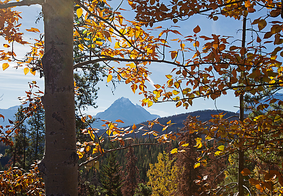 포토 JPG 해외이미지 계절 도로 호수 잎 교통시설 모션 자연 하늘 액자틀 풍경 사람없음 반사 여행객 가을 황무지 길가 앨버타 웅장함 인기 절정 지질학 터키석 해외포토 식물 교육 길 액자 교통 틀 사람 보석 시설 생태계 파일형식 이미지허브