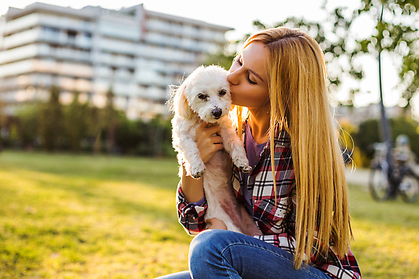 포토 JPG 해외이미지 주간 백인 우먼라이프 공원 여자 행복 반려견 놀이 휴식 함께함 한명 미소 상반신 성인 야외 반려동물 우정 잡기 강아지 즐거움 푸들 성인여자한명만 펫팸족 해외포토 자연요소 서양인 동물 1 라이프스타일 공공시설 감정 컨셉 모션 표정 사람 친구 개 신조어 여자한명만 성인여자만 파일형식 이미지허브