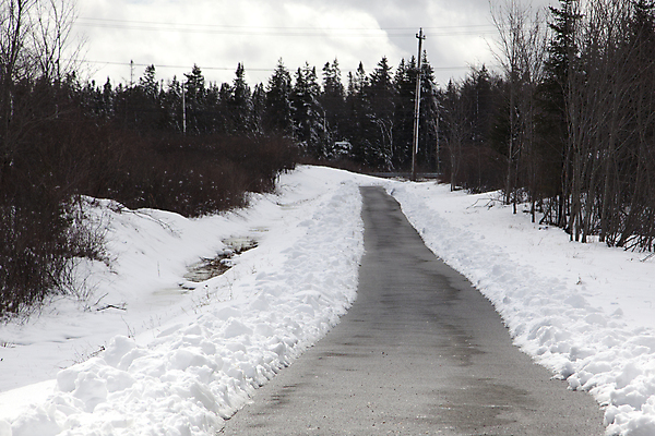 포토 JPG 해외이미지 나무 도로 길 조각 캐나다 겨울 자국 하늘 날씨 휴가 사람없음 파란색 평화 추위 소나무 보행로 숲 큼 12월 전화기 봉 북쪽 상록수 마법 전나무 자작나무 1월 2월 반투명 완벽 해외포토 식물 계절 컬러 컨셉 북아메리카 교통시설 날짜 크기 방향 파일형식 이미지허브