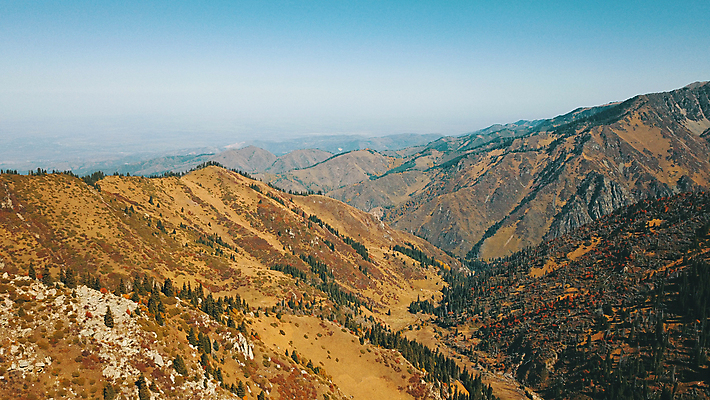 포토 JPG 해외이미지 나무 계절 길 여행 잎 오렌지 자연 하늘 산 안테나 그림자 사람 사람없음 야외 초록색 컬러풀 노란색 환경 골짜기 계곡 하이킹 정상 숲 언덕 내추럴 드론 삼림지대 절정 카자흐스탄 가문비나무 해외포토 식물 아시아 컬러 과일 통신 레저 생태계 파일형식 이미지허브