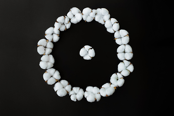 포토 JPG 해외이미지 검은배경 사람없음 면 오브젝트 유기농 부드러움 원형프레임 목화꽃 목화솜 해외포토 웰빙 꽃 백그라운드 프레임 검은색 원형 감각 솜 파일형식 이미지허브