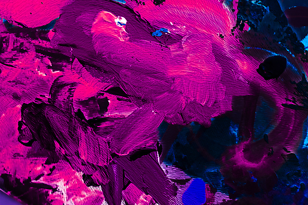 포토 JPG 해외이미지 분홍색 백그라운드 사람없음 남색 질감 마블링 해외포토 컬러 파일형식 이미지허브