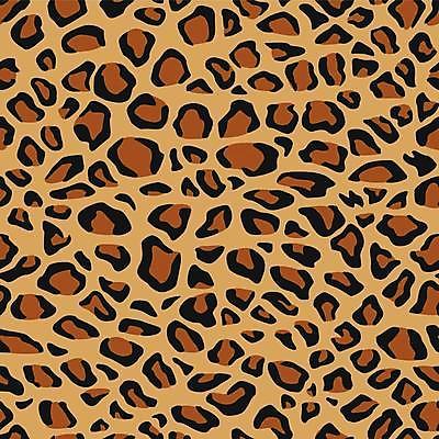 EPS 해외이미지 클립아트 모양 동물 템플릿 디자인 야생동물 백그라운드 패턴 일러스트 아프리카 벽지 장식 직물 인쇄 사파리 피부 그림 질감 표범 동물상 엘리먼트 해외일러스트 나라 무늬 포유류 신체부위 조형물 파일형식 벡터 이미지허브