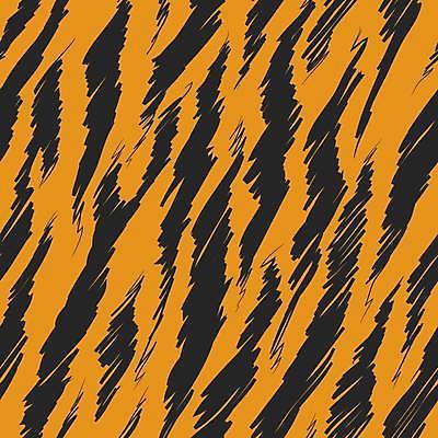 EPS 해외이미지 클립아트 모양 동물 템플릿 디자인 야생동물 선 백그라운드 패턴 일러스트 아프리카 벽지 장식 줄무늬 직물 호랑이 인쇄 사파리 피부 그림 질감 내추럴 동물상 엘리먼트 해외일러스트 나라 무늬 포유류 신체부위 조형물 파일형식 벡터 이미지허브