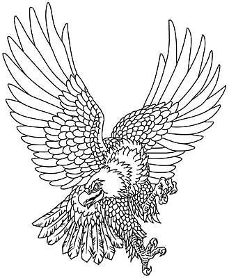 EPS 해외이미지 동물 날개 일러스트 조류 그래픽 힘 분노 먹이 문신 심볼 윤곽 독수리 육식동물 고립 마스코트 발톱 해외일러스트 감정 발 파일형식 벡터 이미지허브