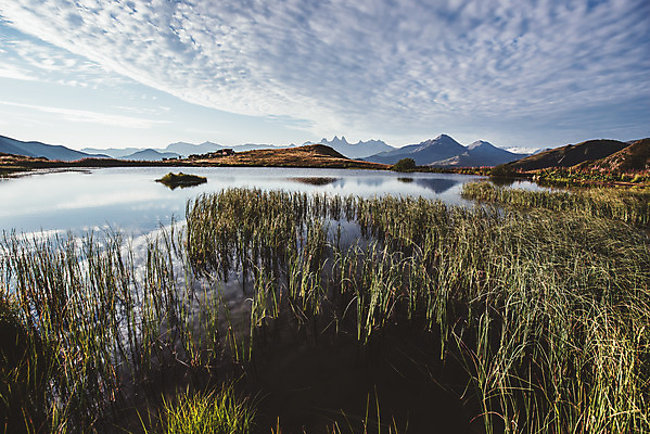 포토 JPG 주간 식물 구름 해외풍경 호수 여행 유럽풍경 자연 하늘 풍경 사람없음 야외 반사 알프스 국내포토 자연요소 해외 유럽 생태계 파일형식