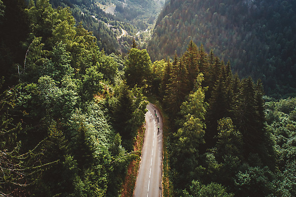 포토 JPG 주간 나무 해외풍경 도로 여행 유럽풍경 자연 풍경 사람없음 야외 프랑스 숲 오솔길 알프스 항공촬영 전경 국내포토 자연요소 식물 해외 유럽 길 뷰포인트 교통시설 생태계 파일형식 탑뷰