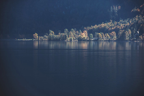 포토 JPG 주간 나무 해외풍경 호수 여행 유럽풍경 자연 풍경 사람없음 야외 오스트리아 할슈타트 국내포토 자연요소 식물 해외 유럽 생태계 파일형식