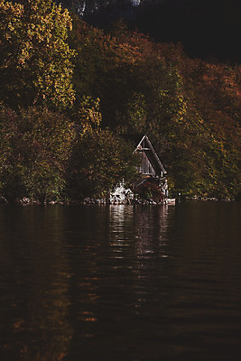 포토 JPG 주간 나무 해외풍경 호수 여행 유럽풍경 자연 주택 풍경 사람없음 야외 마을 오스트리아 할슈타트 국내포토 자연요소 식물 해외 유럽 건물 생태계 파일형식