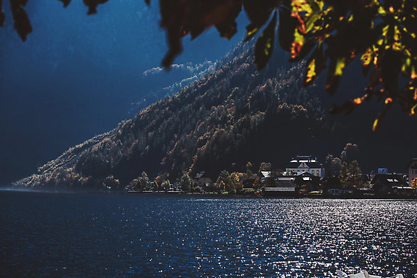 포토 JPG 주간 나무 해외풍경 호수 여행 유럽풍경 자연 주택 풍경 사람없음 야외 마을 나뭇가지 오스트리아 할슈타트 국내포토 자연요소 식물 해외 유럽 건물 생태계 파일형식