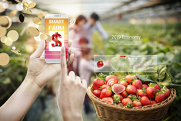 PSD 편집이미지 손 여자 남자 가족 딸기 들기 여러명 아웃포커스 신체부위 금융 경제 스마트폰 3D소스 3D 바구니 동전 디지털합성 딸기밭 스마트팜 편집소스 이미지편집 편집3D 다수 돈 밭 과일 관계 모션 촬영기법 사람 핸드폰 스마트기기 농장 파일형식