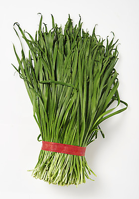 포토 JPG 스튜디오촬영 채소 식재료 실내 누끼 사람없음 하이앵글 흰배경 부추 플랫레이 국내포토 뷰포인트 백그라운드 내부 흰색 플랫 파일형식