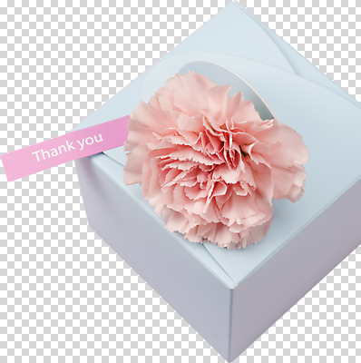 편집이미지 선물 사람없음 선물상자 어버이날 스승의날 카네이션 오브젝트 감사 PNG 편집소스 기념일 꽃 감정 상자 파일형식