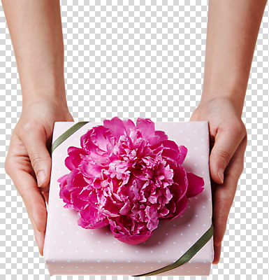 편집이미지 손 꽃 선물 한명 들기 신체부위 선물상자 양손 어버이날 스승의날 카네이션 감사 PNG 편집소스 식물 1 기념일 감정 모션 사람 상자 파일형식