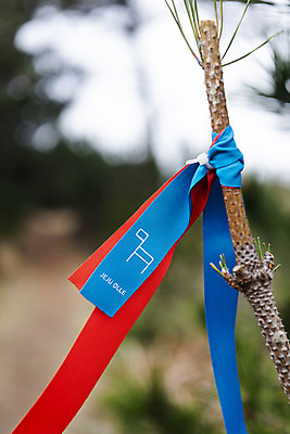 포토 JPG 주간 리본 여행 자연 표시 한국 풍경 사람없음 야외 아웃포커스 제주도 봄 나뭇가지 끈 묶기 코스 올레길 간세 국내포토 자연요소 나무 계절 아시아 길 모션 촬영기법 생태계 파일형식