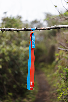 포토 JPG 주간 리본 여행 자연 표시 한국 풍경 사람없음 야외 아웃포커스 제주도 봄 나뭇가지 끈 묶기 코스 올레길 간세 국내포토 자연요소 나무 계절 아시아 길 모션 촬영기법 생태계 파일형식