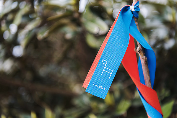 포토 JPG 주간 리본 여행 자연 표시 한국 풍경 사람없음 야외 아웃포커스 제주도 봄 나뭇가지 끈 묶기 코스 올레길 간세 국내포토 자연요소 나무 계절 아시아 길 모션 촬영기법 생태계 파일형식