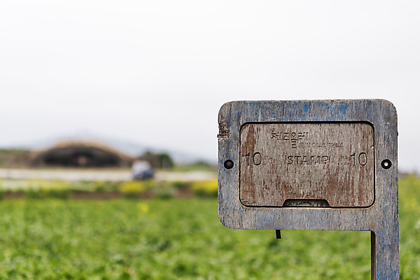 포토 JPG 주간 여행 유적지 자연 표시 한국 풍경 사람없음 야외 아웃포커스 도장 제주도 봄 문화재 코스 올레길 제주4.3사건 알뜨르비행장 43유적지 국내포토 자연요소 계절 아시아 길 고건축 촬영기법 생태계 서귀포 파일형식 법정기념일