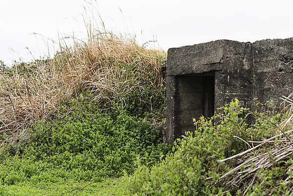포토 JPG 주간 여행 유적지 자연 한국 풍경 사람없음 야외 제주도 봄 문화재 역사 전쟁터 제주4.3사건 다크투어리즘 고사포진지 43유적지 셋알오름 국내포토 자연요소 계절 아시아 고건축 생태계 전쟁 오름 서귀포 파일형식 법정기념일
