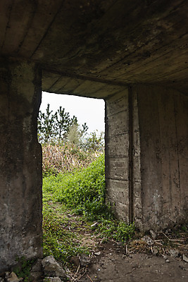 포토 JPG 주간 여행 유적지 자연 한국 풍경 사람없음 야외 제주도 봄 문화재 역사 전쟁터 제주4.3사건 다크투어리즘 고사포진지 43유적지 셋알오름 국내포토 자연요소 계절 아시아 고건축 생태계 전쟁 오름 서귀포 파일형식 법정기념일