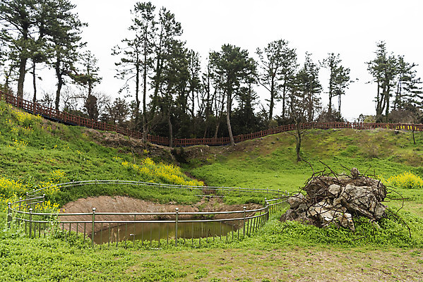 포토 JPG 주간 여행 유적지 자연 한국 풍경 사람없음 야외 제주도 봄 문화재 역사 유채 서귀포 추모 제주4.3사건 다크투어리즘 섯알오름학살터 43유적지 셋알오름 국내포토 자연요소 계절 꽃 아시아 고건축 생태계 오름 파일형식 법정기념일