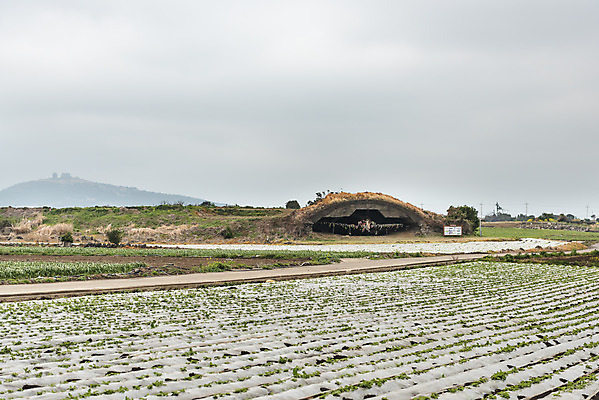 포토 JPG 주간 여행 밭 유적지 자연 하늘 비행기 한국 풍경 사람없음 야외 제주도 봄 문화재 역사 격납고 제주4.3사건 알뜨르비행장 다크투어리즘 43유적지 국내포토 자연요소 계절 아시아 고건축 농업 항공교통 대중교통 생태계 서귀포 파일형식 법정기념일