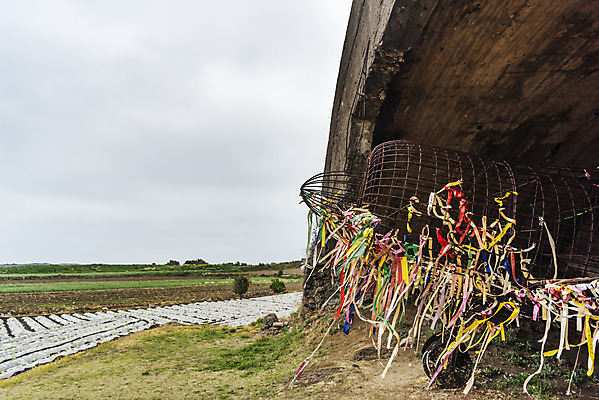포토 JPG 주간 리본 여행 유적지 자연 하늘 비행기 한국 풍경 사람없음 야외 제주도 봄 문화재 역사 격납고 제주4.3사건 알뜨르비행장 다크투어리즘 43유적지 국내포토 자연요소 계절 아시아 고건축 항공교통 대중교통 생태계 서귀포 파일형식 법정기념일