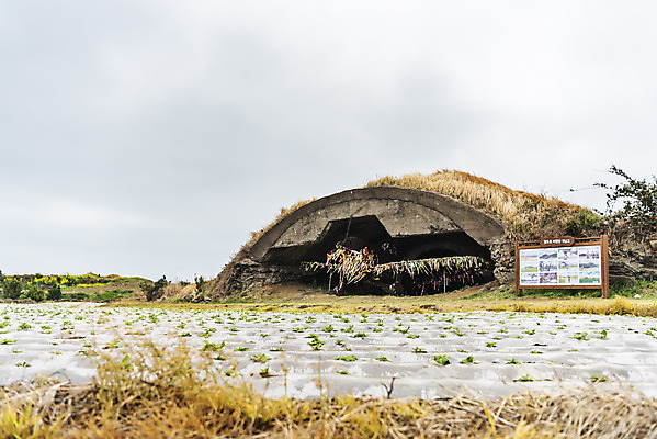 포토 JPG 주간 리본 여행 유적지 자연 하늘 비행기 한국 풍경 사람없음 야외 제주도 봄 문화재 역사 격납고 제주4.3사건 알뜨르비행장 다크투어리즘 43유적지 국내포토 자연요소 계절 아시아 고건축 항공교통 대중교통 생태계 서귀포 파일형식 법정기념일