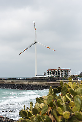 포토 JPG 주간 구름 바다 여행 자연 하늘 바람 선인장 한국 풍경 사람없음 야외 제주도 봄풍경 봄 에너지 풍력에너지 에코 해안도로 선인장군락 국내포토 자연요소 식물 계절 아시아 도로 날씨 환경 그린에너지 생태계 천연기념물 월령리 파일형식