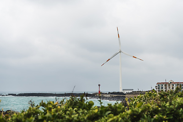 포토 JPG 주간 구름 바다 여행 자연 하늘 바람 한국 풍경 사람없음 야외 제주도 봄 에너지 바위 풍력에너지 에코 국내포토 자연요소 계절 아시아 날씨 환경 돌_바위 그린에너지 생태계 파일형식