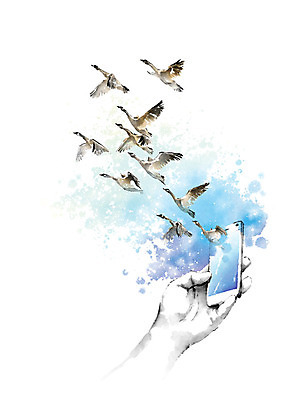 PSD 손 일러스트 캘리그라피 자연 붓터치 한손 들기 풍경 손짓 신체부위 파란색 스마트폰 스크린 사진촬영 촬영 터치 비행 추억 번짐 새떼 기러기 국내일러스트 컬러 컨셉 모션 조류 사람 핸드폰 스마트기기 생태계 파일형식 효과