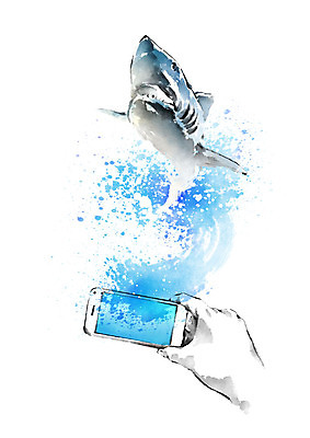 PSD 한마리 손 일러스트 캘리그라피 붓터치 아이디어 한손 들기 풍경 손짓 신체부위 물 파란색 스마트폰 스크린 사진촬영 촬영 터치 추억 물보라 번짐 상어 국내일러스트 자연요소 1 컬러 컨셉 모션 어류 사람 핸드폰 스마트기기 파일형식 효과