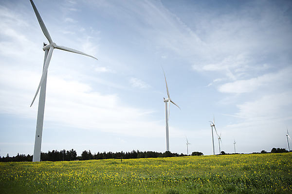 포토 JPG 주간 구름 여행 자연 하늘 바람 한국 풍경 사람없음 야외 제주도 봄풍경 봄 에너지 풍력에너지 유채 에코 유채밭 국내포토 자연요소 계절 꽃 아시아 밭 날씨 환경 그린에너지 생태계 파일형식