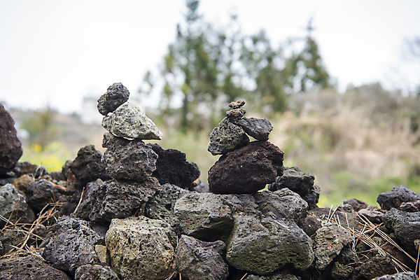 포토 JPG 주간 여행 자연 한국 풍경 사람없음 야외 아웃포커스 제주도 쌓기 봄 소원탑 국내포토 자연요소 계절 아시아 모션 촬영기법 탑 생태계 파일형식