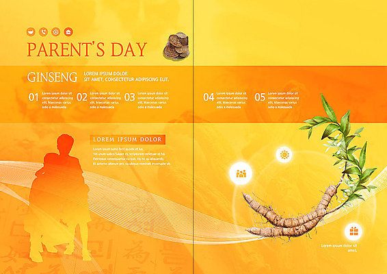 PSD 템플릿 표지디자인 북디자인 출판디자인 실루엣 내지 리플렛 북커버 사람모양 건강 선물 팜플렛 사람없음 세일 한약재 한약 어버이날 5월 5월행사 보약 영지버섯 홍삼 이미지템플릿 모양 기념일 촬영기법 이벤트 약 버섯 약재 삼 날짜 파일형식