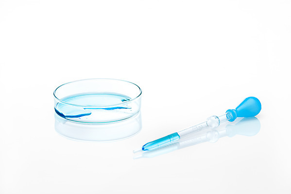 포토 JPG 스튜디오촬영 교육 과학 유리 실내 실험기구 실험 누끼 근접촬영 사람없음 파란색 물감 두개 관찰 생명공학 스포이트 오브젝트 흰배경 교구 생물학 용액 미생물 생명과학 샤레 국내포토 뷰포인트 컬러 백그라운드 2 의학 모션 재질 생물 내부 미술도구 흰색 피펫 파일형식