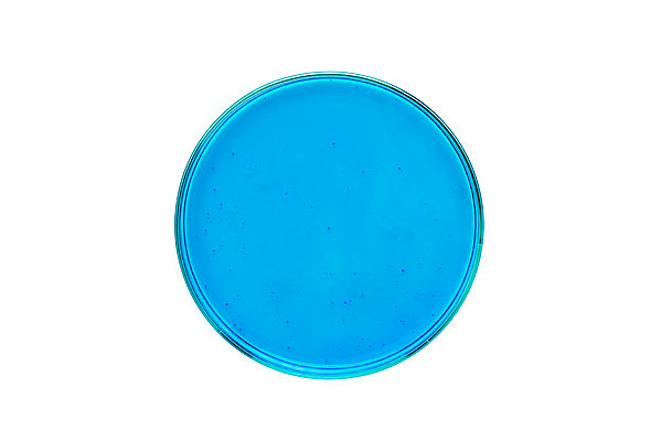 포토 JPG 스튜디오촬영 교육 과학 유리 실내 실험기구 실험 누끼 근접촬영 사람없음 파란색 하이앵글 한개 물감 관찰 생명공학 오브젝트 흰배경 교구 생물학 용액 미생물 생명과학 샤레 플랫레이 국내포토 1 뷰포인트 컬러 백그라운드 의학 모션 재질 생물 내부 미술도구 흰색 플랫 파일형식